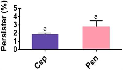 Cellular Growth Arrest and Efflux Pumps Are Associated With Antibiotic Persisters in Streptococcus pyogenes Induced in Biofilm-Like Environments